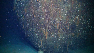 Close-up view of the stern of the Alcoa Puritan shipwreck, located at ~2,000 meters (~6,500 feet) depth in the Gulf of Mexico. The 77-year-old shipwreck holds information about maritime history, and hosts diverse biological life, both visible and invisible.