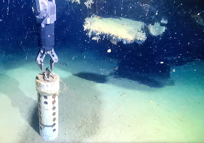 Retrieving a corrosion experiment placed near Anona stern in 2014.