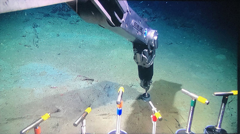 ROV Odysseus taking a sediment sample with a push core.
