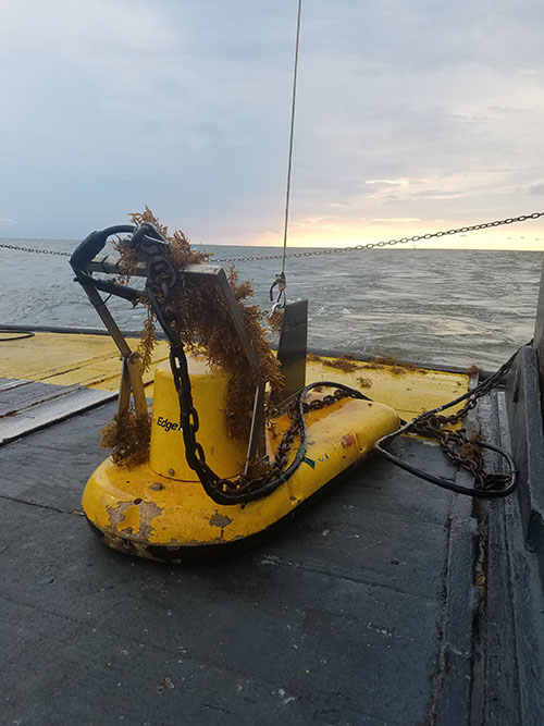 Covered in seagrass, the chirp subbottom profiler sits on deck following completion of a survey grid.