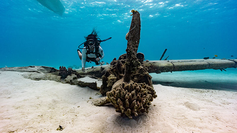 Principal investigator Jennifer McKinnon diving on a Japanese “Emily” seaplane in the waters off Saipan in the Northern Mariana Islands. The site is significant to the history of the World War II Battle for Saipan and has two monuments to those lost.