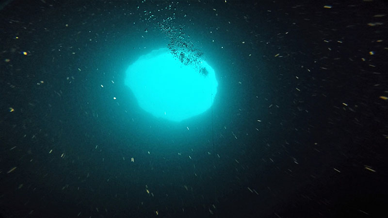 A diver’s view looking up to the opening of Amberjack Hole.