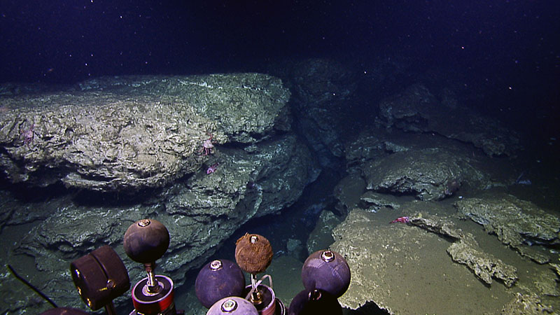 In contrast to the above video, other sites have carbonate formations created from prolonged seepage fueling bacterial mats.