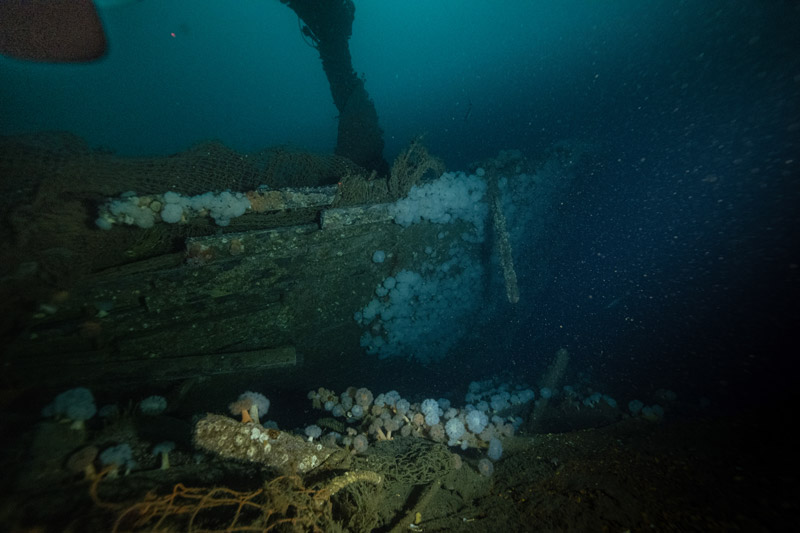 the bow of the shipwreck explored during the expedition