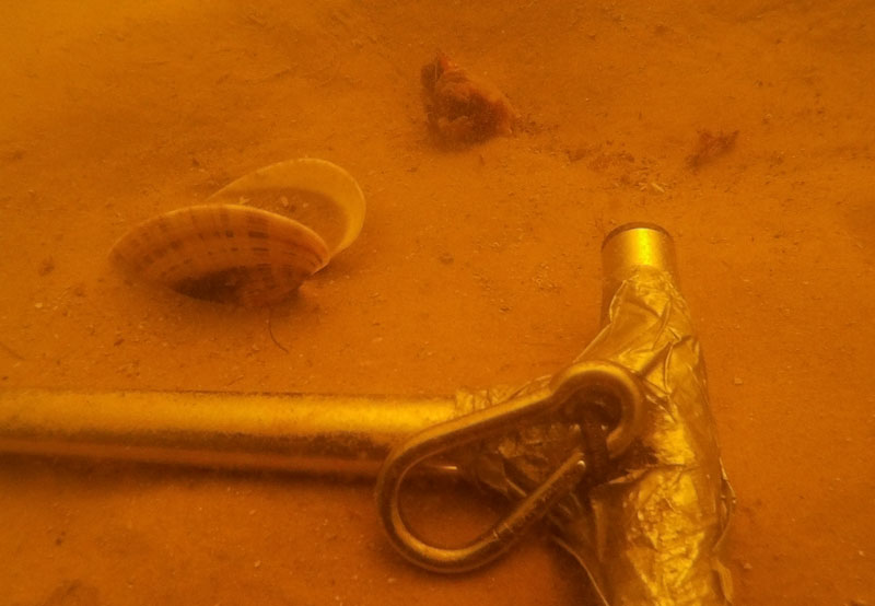 The sediment probe used during the Marine Archaeological Investigation and Habitat Mapping of the Paleo-Suwannee River project can also serve as a scale, or a north arrow, for reference. The reddish haze is caused by tannic acid and suspended particulates discharged by the Suwannee River, especially after a heavy rain.