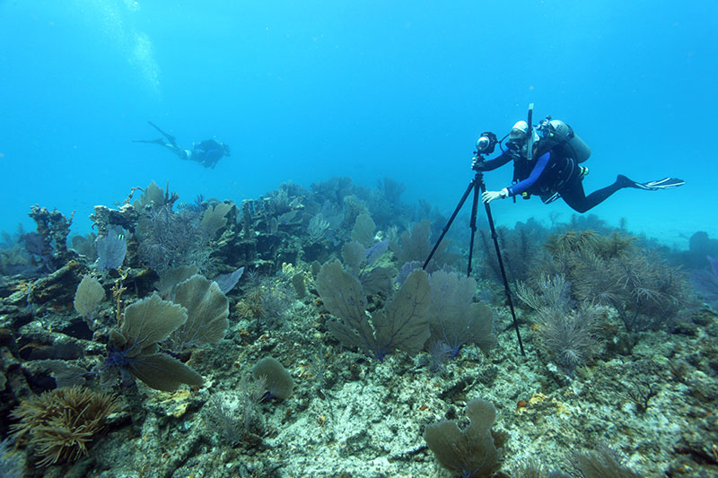 Office of National Marine Sanctuaries maritime heritage coordinator and research team member Brenda Altmeier levels the 360-degree panoramic camera before photographing the Tonawanda shipwreck off Key Largo. Image courtesy of the Office of National Marine Sanctuaries.