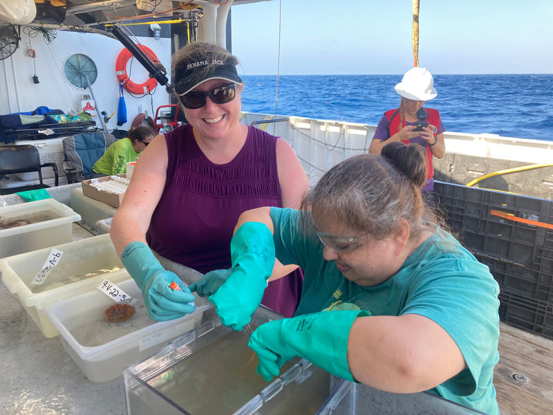 Esther Guzmán and Elizabeth Urban-Gedamke process marine invertebrate specimens collected during the Exploring the Blue Economy Biotechnology Potential of Deepwater Habitats expedition for future DNA analysis back at Florida Atlantic University’s Harbor Branch Oceanographic Institute.