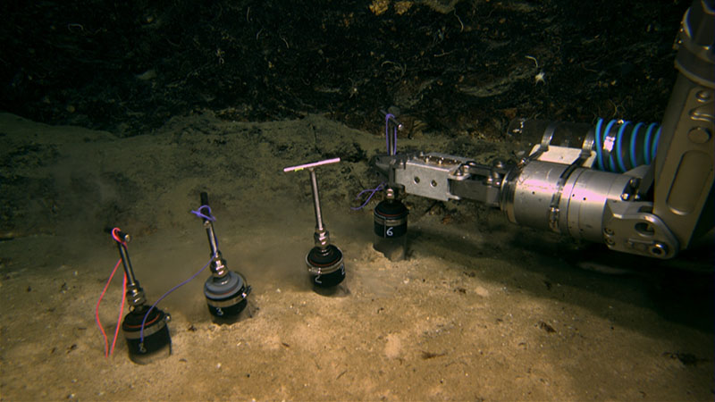 During the Combining Habitat Suitability and Physical Oceanography for Targeted Discovery of New Benthic Communities on the West Florida Slope expedition, the remotely operated vehicle manipulator arm was used to collect sediment cores for meiofauna research.