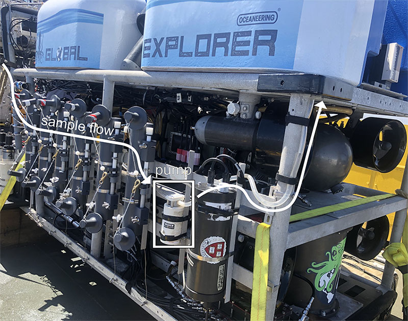 Water is pumped from the front of the ROV, through a large filter (positioned behind the sampling bottles) and out the back. Over the course of an ROV dive, approximately 50 liters of water can be filtered while video observations are made. This allows us to capture eDNA that the animals we see release into the water around them. If we can collect enough eDNA, we can positively identify the potentially unknown species that we observe but cannot capture.