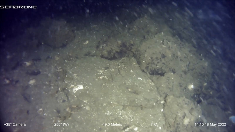 Image from an ROV of semi-circular stacked stones on the seafloor, part of a larger weir complex.