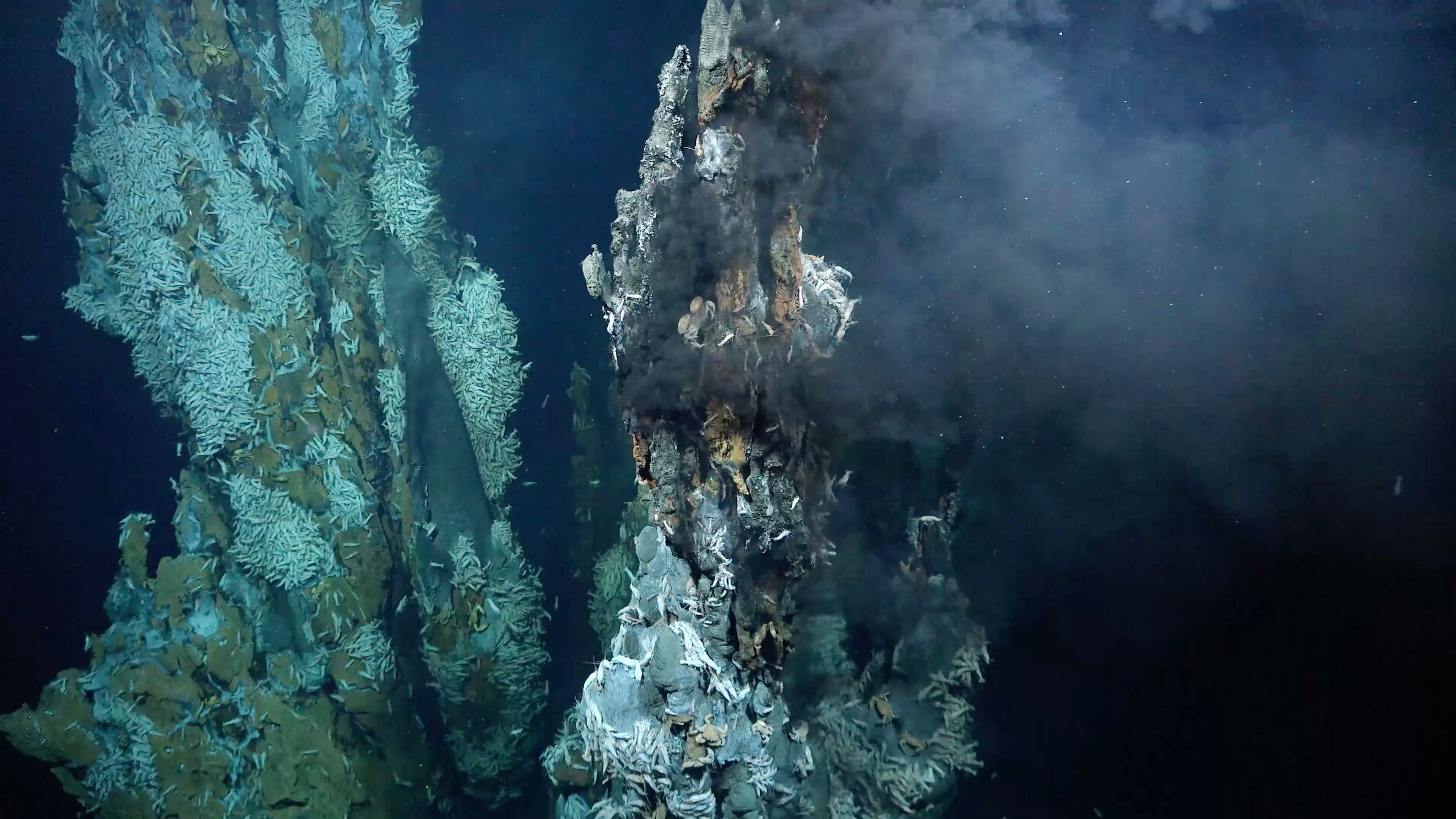 A high-temperature hydrothermal vent field discovered on Puy des Folles Seamount on the Mid-Atlantic Ridge, at approximately 2,000 meters (6,562 feet) in depth, during the In Search of Hydrothermal Lost Cities expedition.