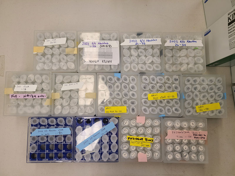 Pictured here are all of the eDNA samples to be analyzed for the Exploring the Biodiversity of Remote Pacific Ocean Deep-Sea Coral Communities with eDNA project.