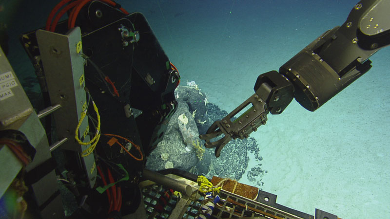 The Ocean Exploration Trust's remotely operated vehicle Hercules collects an eDNA sample over a coral garden in the Howland Baker Unit of the Pacific Remote Islands Marine National Monument.