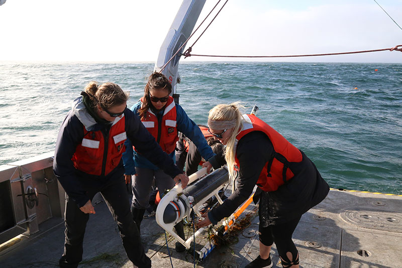 Amy Gusick, Eva Pagaling, Roslynn King, and Jillian Maloney retrieve an electromagnetic receiver, known as a porpoise, offshore the Northern Channel Islands aboard Research Vessel Bob and Betty Beyster.