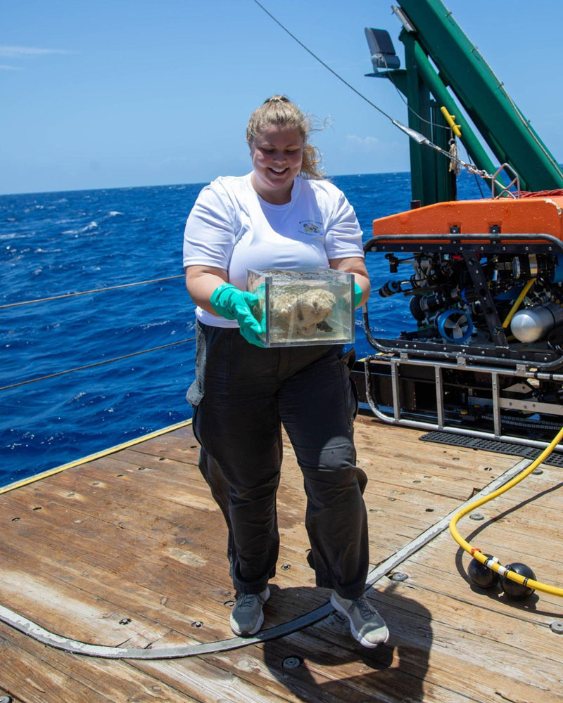 Kirstie Francis collects sponge samples from the Mohawk remotely operated vehicle (ROV). Sponge samples were stored in the ROV’s bioboxes for transport from the seafloor to the surface, where they are processed for chemistry, taxonomy, microbiology, DNA, and sponge cell culture.