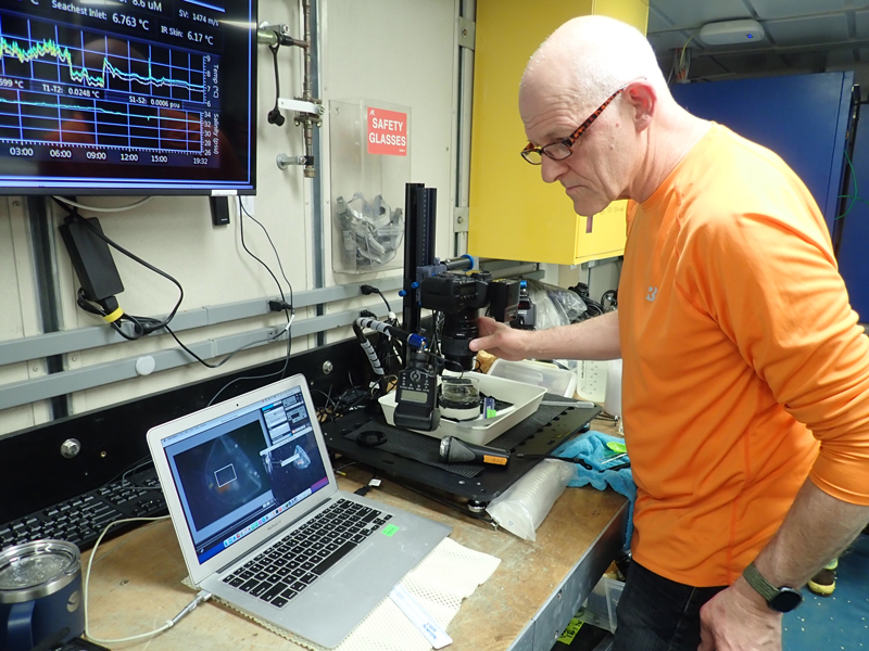 Allen collins photographs a jellyfish pantachogon sp in the lab on