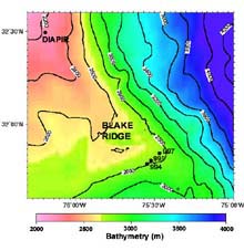 bathymetry of Blake ridge dive area