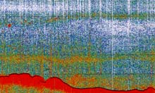 Topography of The Point