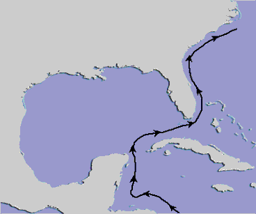 Map showing gyre formation in the Gulf of Mexico