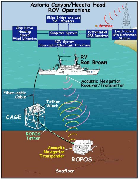 Schematic image of ROV deployment and support equipment