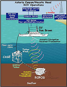 Remotely Operated Vehicle (ROV) operations for Astoria Canyon and Heceta Bank exploration