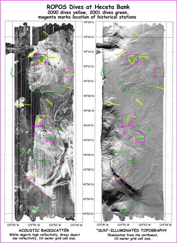 Heceta Bank Simrad EM 300 backscatter  and topography