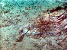 mudstone scar exposed during a submarine landslide