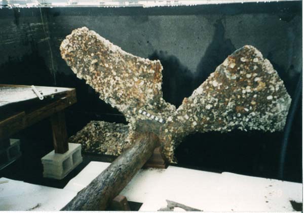 Propeller after recovery from ocean