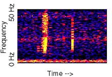 Spectrogram of unidentified noise, labeled as Bloop