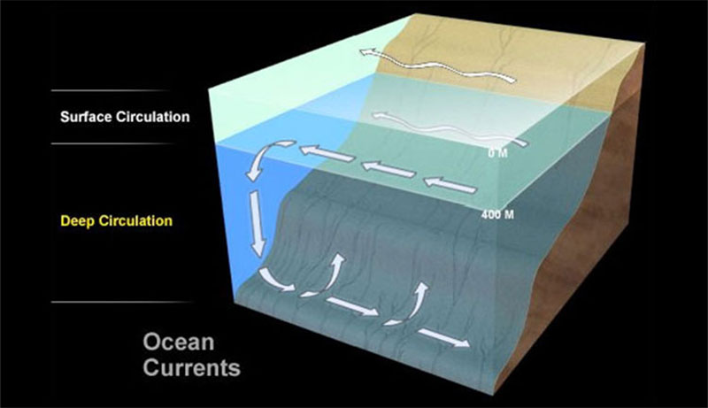 Le correnti sono flussi coesivi di acqua marina che circolano nell'oceano. Alcune sono piccole e di breve durata, mentre altre sono vasti flussi che impiegano secoli per completare un circuito del globo. Ci sono due sistemi distinti di correnti nell'oceano: la circolazione superficiale, che agita uno strato superiore relativamente sottile del mare, e la circolazione profonda, che spazia lungo il fondo del mare profondo. Alcune sono piccole e di breve durata, mentre altre sono grandi flussi che impiegano secoli per completare un circuito del globo. Ci sono due sistemi distinti di correnti nell'oceano: la circolazione superficiale, che agita uno strato superiore relativamente sottile del mare, e la circolazione profonda, che spazia lungo il fondo del mare profondo. Scarica l'immagine (jpg, 38.6 KB).