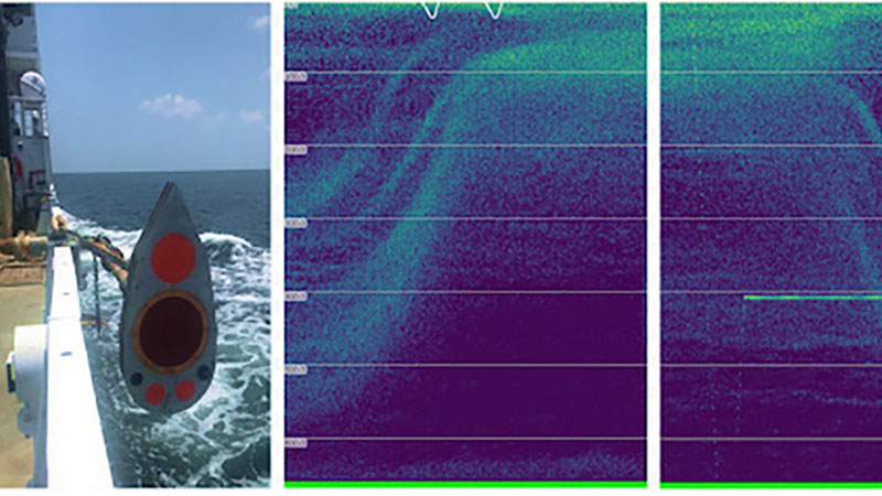 From Aggregations to Individuals: Exploring Migrating Deep-Sea Scattering Layers Through Multiscale-Multimode Technologies in the Gulf of Mexico