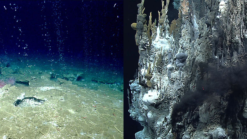 Cold seeps and hydrothermal vents are similar in that the ecosystems they support are largely driven by a process called chemosynthesis.