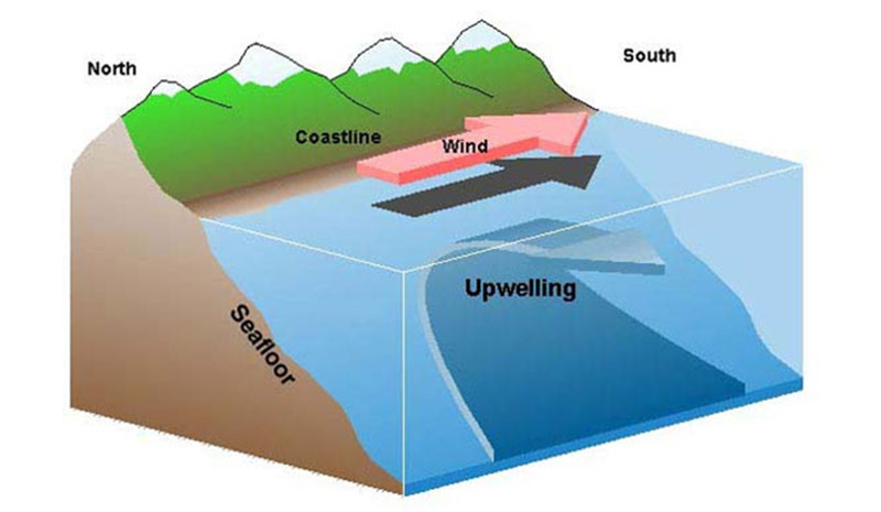 How Waves and Mixing Drive Coastal Upwelling Systems