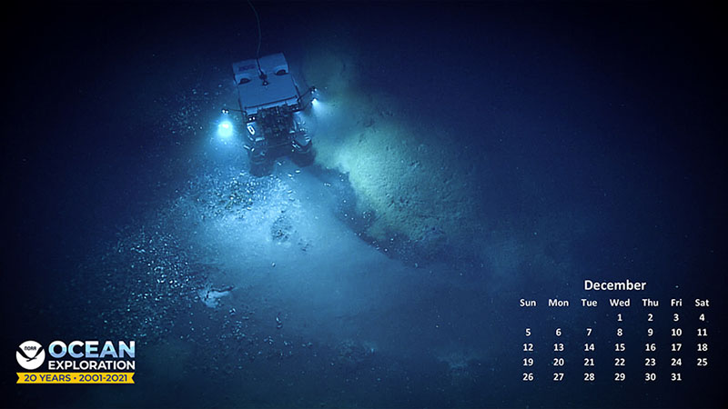 During the Gulf of Mexico 2017 expedition, NOAA Ocean Exploration and partners used remotely operated vehicle Deep Discoverer to explore this never-before-seen brine pool — a lake on the ocean floor — at 1,624 meters (slightly more than a mile) deep off the coasts of Texas and Louisiana.