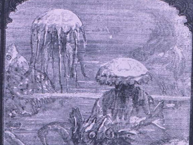 Observing jellyfish from the viewing port of the submarine Nautilus, in Jules Verne's 20,000 Leagues under the Sea. (Courtesy of NOAA Photo Library.)