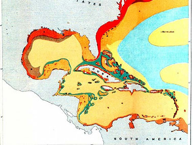 Bottom sediment map showing beds of globigerina ooze and other sediment types. The majority of the sediment samples in this map were obtained as the result of Coast Survey expeditions between the 1840's and 1880's. Source: Three Cruises of the Blake (1888) by A. Agassiz. (Courtesy of NOAA Photo Library.)