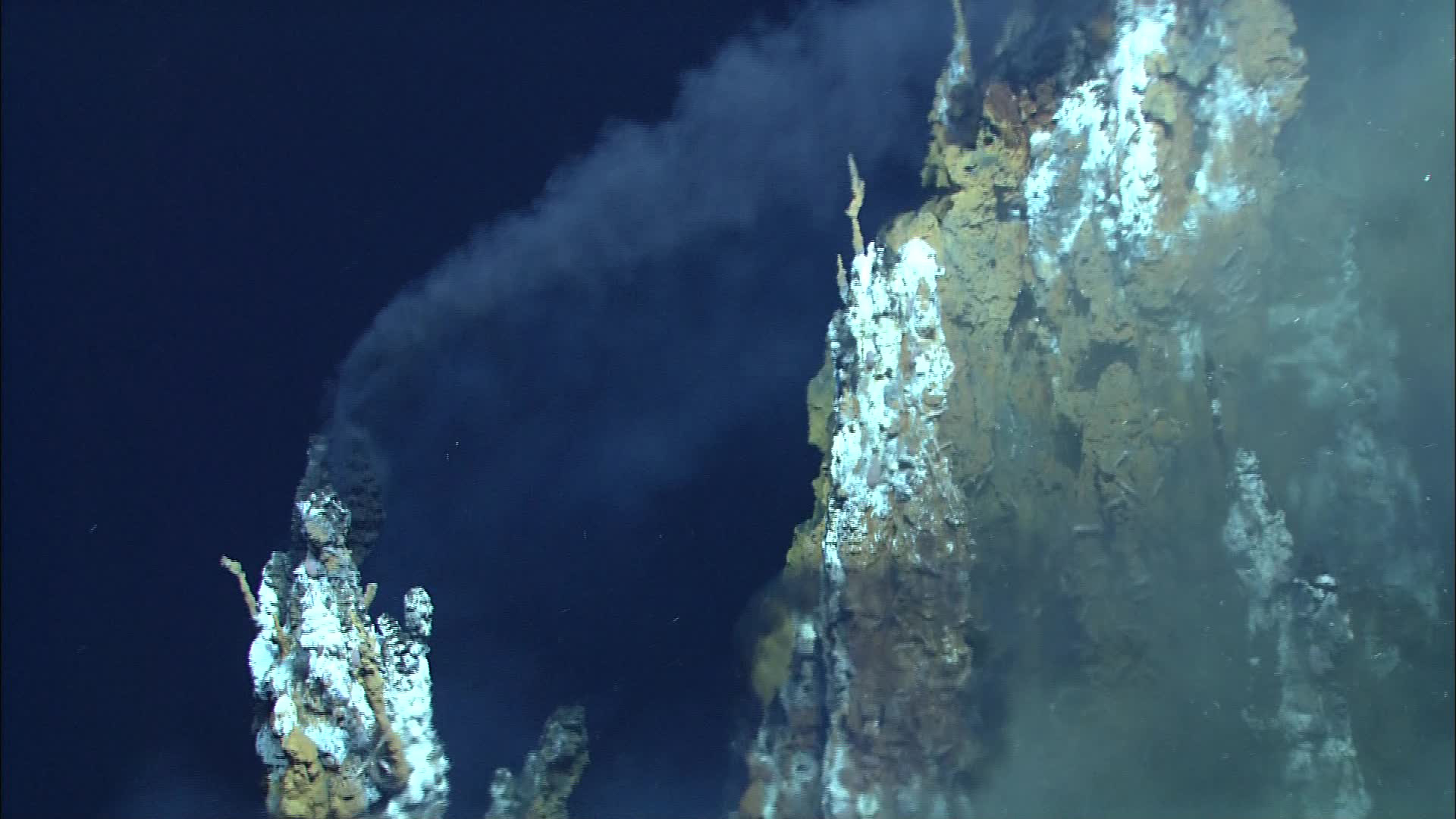Черные курильщики океана. Гидротермальные источники черные курильщики. Черные курильщики Марианская впадина. Тихий океан гидротермальные источники. Глубоководные гидротермальные источники.