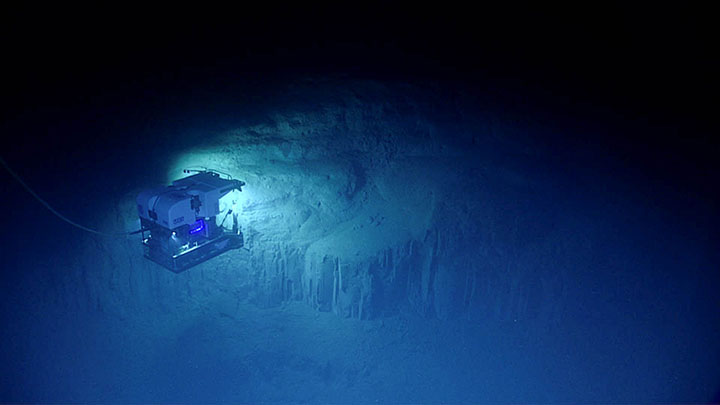 Multimedia: September 19, 2021: Image Of The Day: NOAA Ocean Exploration