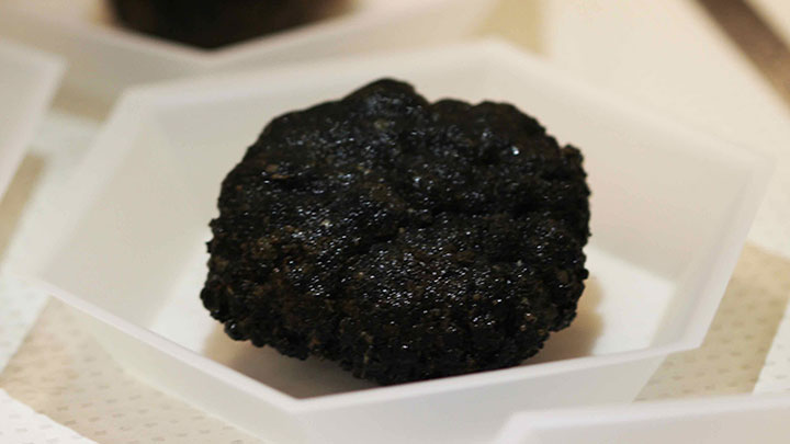 Black manganese nodules like the one pictured here, a major research interest of the DeepCCZ expedition, grow slower still—in fact their growth is amongst the slowest of all geological phenomena, with rates of manganese accretion of less than half a centimeter every million years.