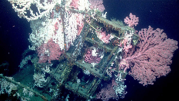 The wreck of the U.S. World War II-era submarine USS Muskallunge covered with coral.