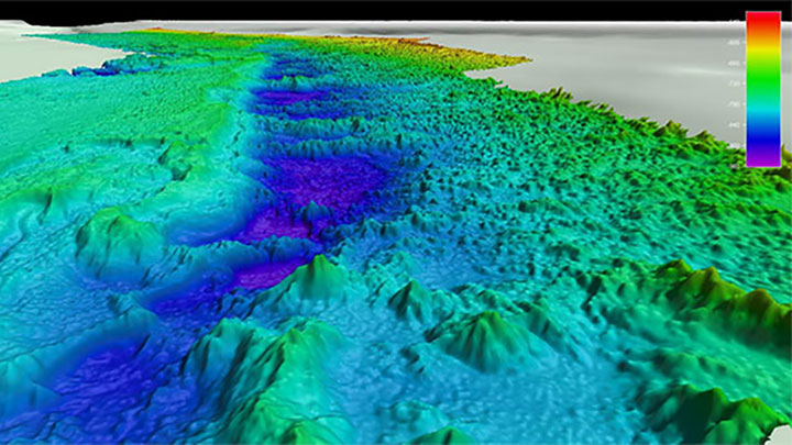 High-resolution multibeam bathymetry of the Stetson Mesa north region collected by NOAA Ocean Exploration via NOAA Ship Okeanos Explorer.