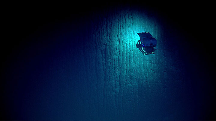 Remotely operated vehicle Deep Discoverer hovers in front of a cliff that marks the edge of a coral platform within the Aunuʻu Unit of National Marine Sanctuary of American Samoa.