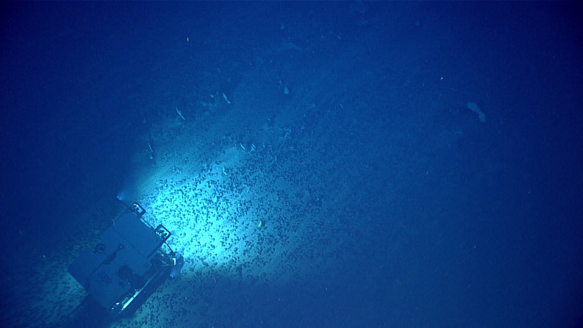 Multimedia: December 14, 2021: Image Of The Day: NOAA Ocean Exploration