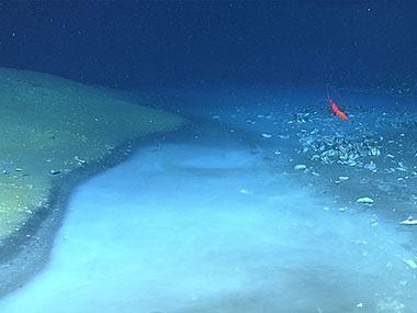 Multimedia Virtual Meeting Backgrounds Noaa Office Of Ocean Exploration And Research