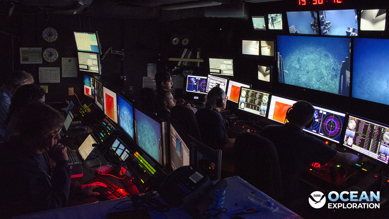Did you know that telepresence technology in ocean exploration allows the delivery of data and video in real time from ships to scientists, teachers, students, and members of the general public on shore?