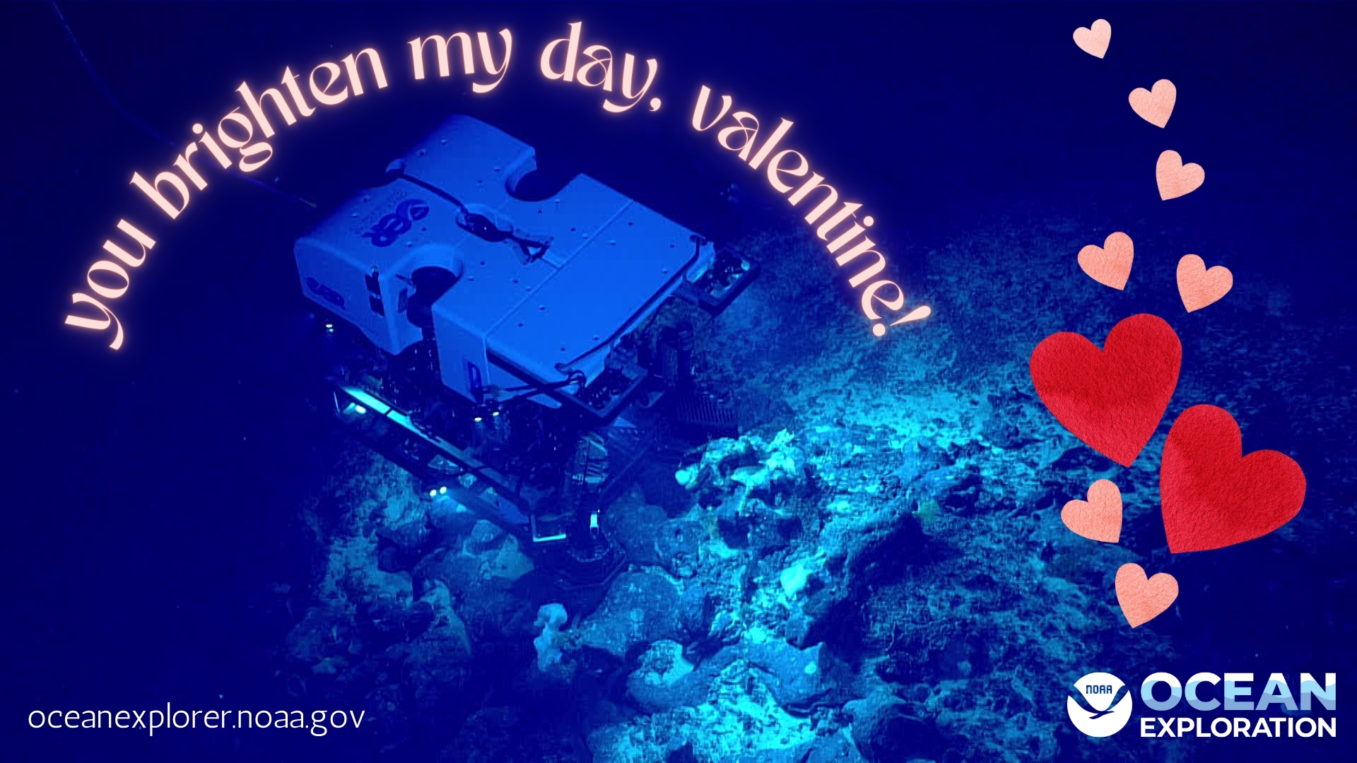 Text: You brighten my day, Valentine! Image remotely operated vehicle shining a light on the seafloor