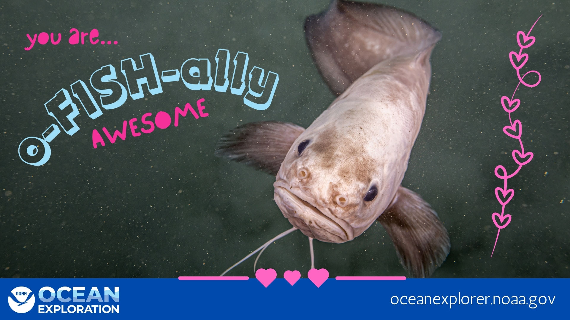 Text: You are o-FISH-ally awesome! Image of a fish