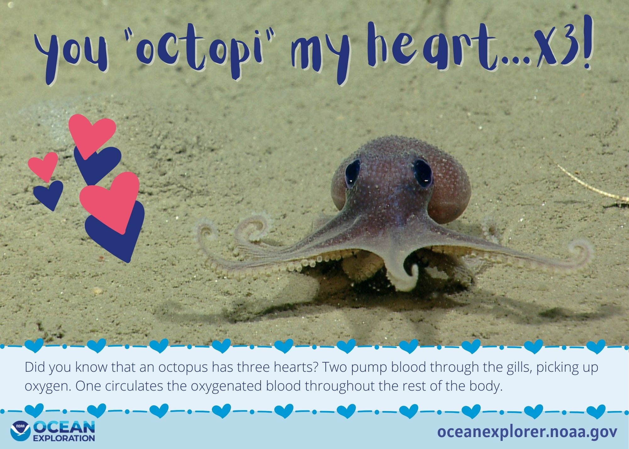 You 'octopi' my heart...X3!
