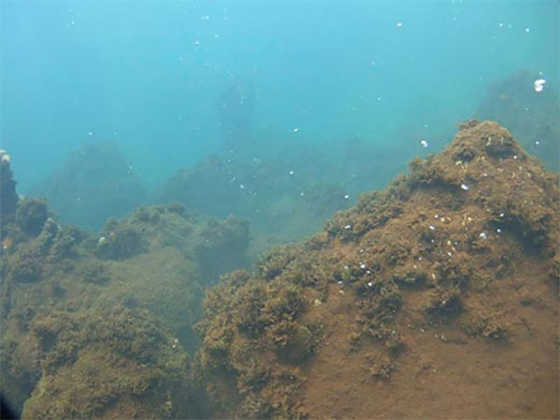 Reefs near Maug affected by ocean acidification; note the gas bubbles rising through the water, escaping from vents. Image courtesy of Chip Young.