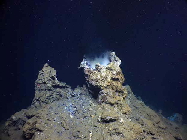 Exploration of hydrothermal vents, such as Diane’s Vent at the Pescadero Vent Field, will be greatly enhanced by the development of new, highly sensitive, compact dissolved gas sensors.